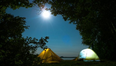 Палатки, кемпинг, деревья
