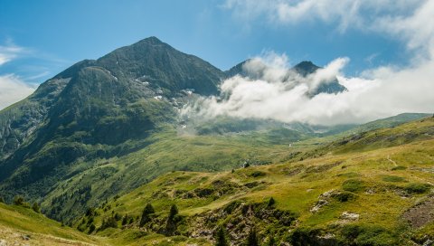 Горы, туман, трава