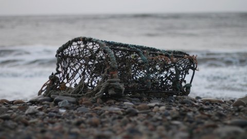 Сетка, море, берег