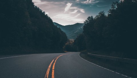 Дорога, маркировка, поворот, деревья