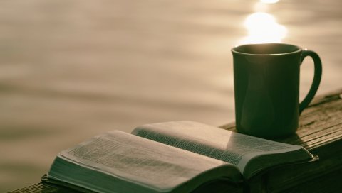 Чашка, книга, чтение