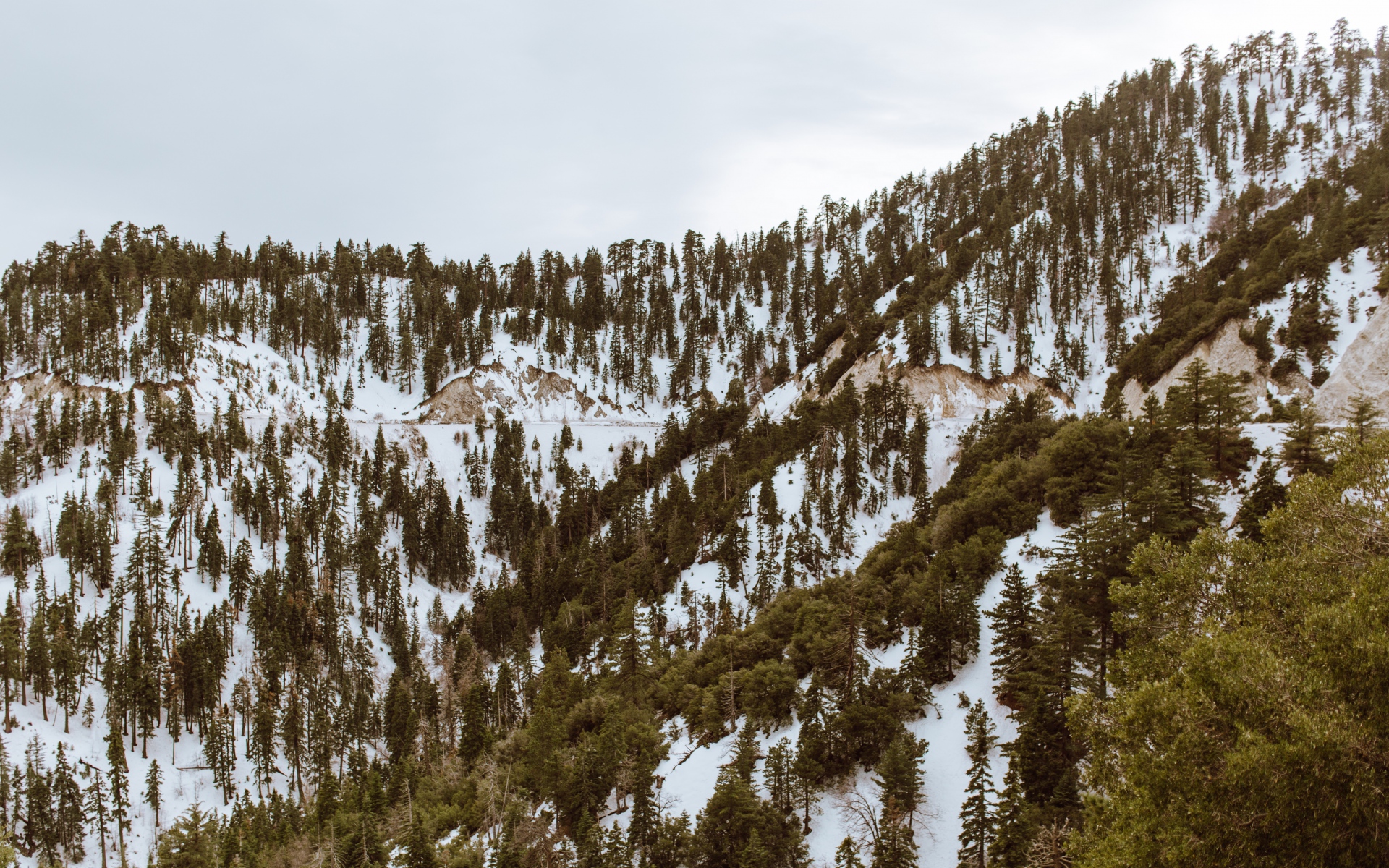 Картинки Деревья, горы, снег, пики фото и обои на рабочий стол