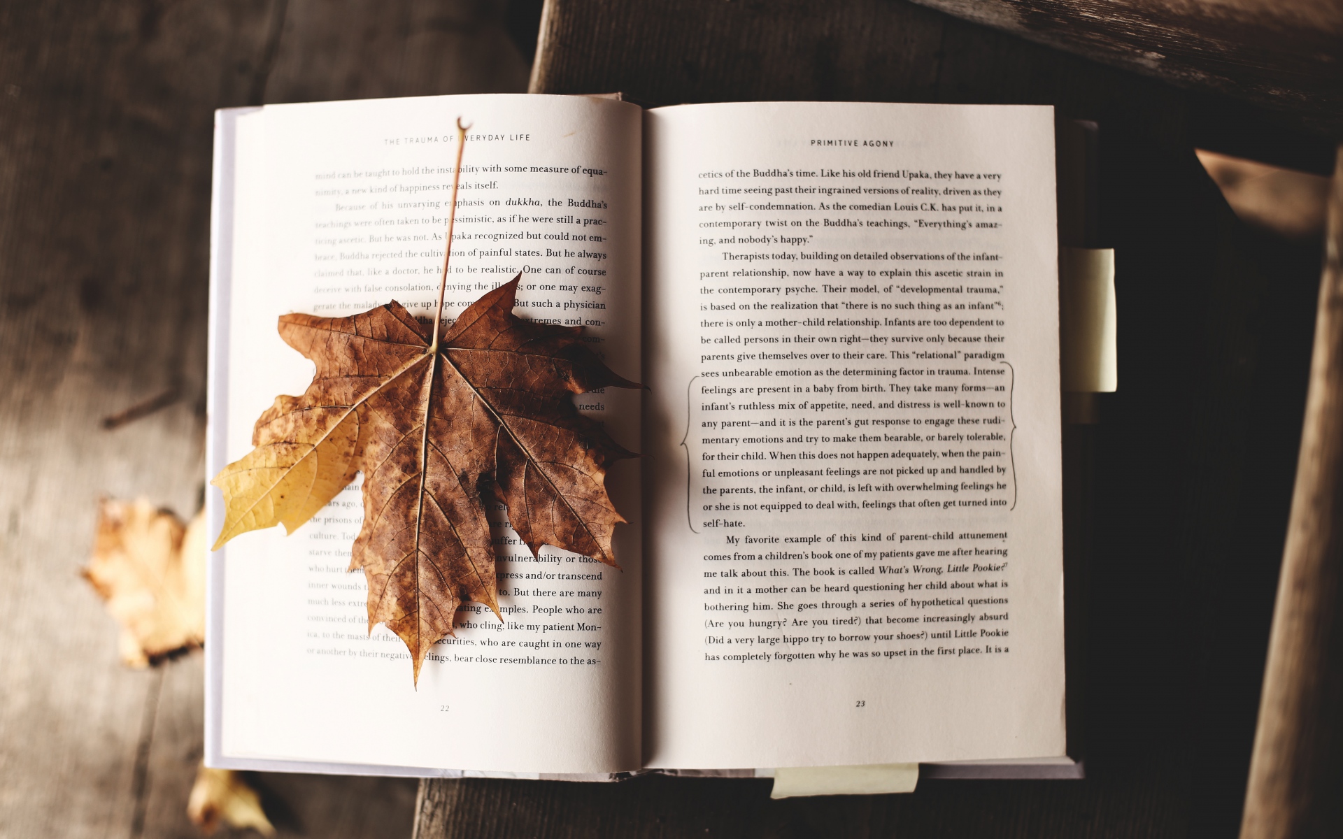 Картинки Книга, клен, лист, осень фото и обои на рабочий стол