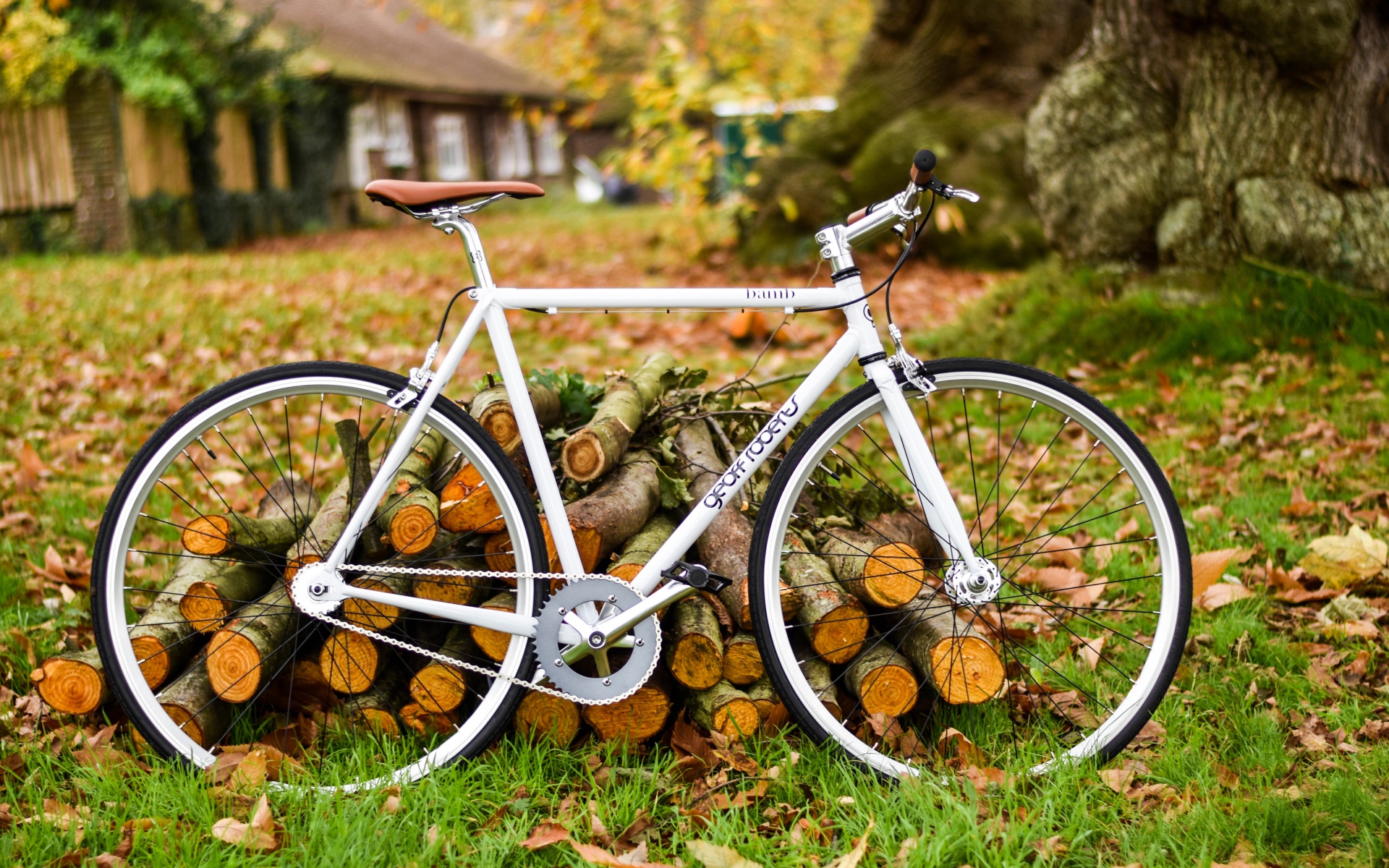 Картинки Велосипед, осень, листва фото и обои на рабочий стол