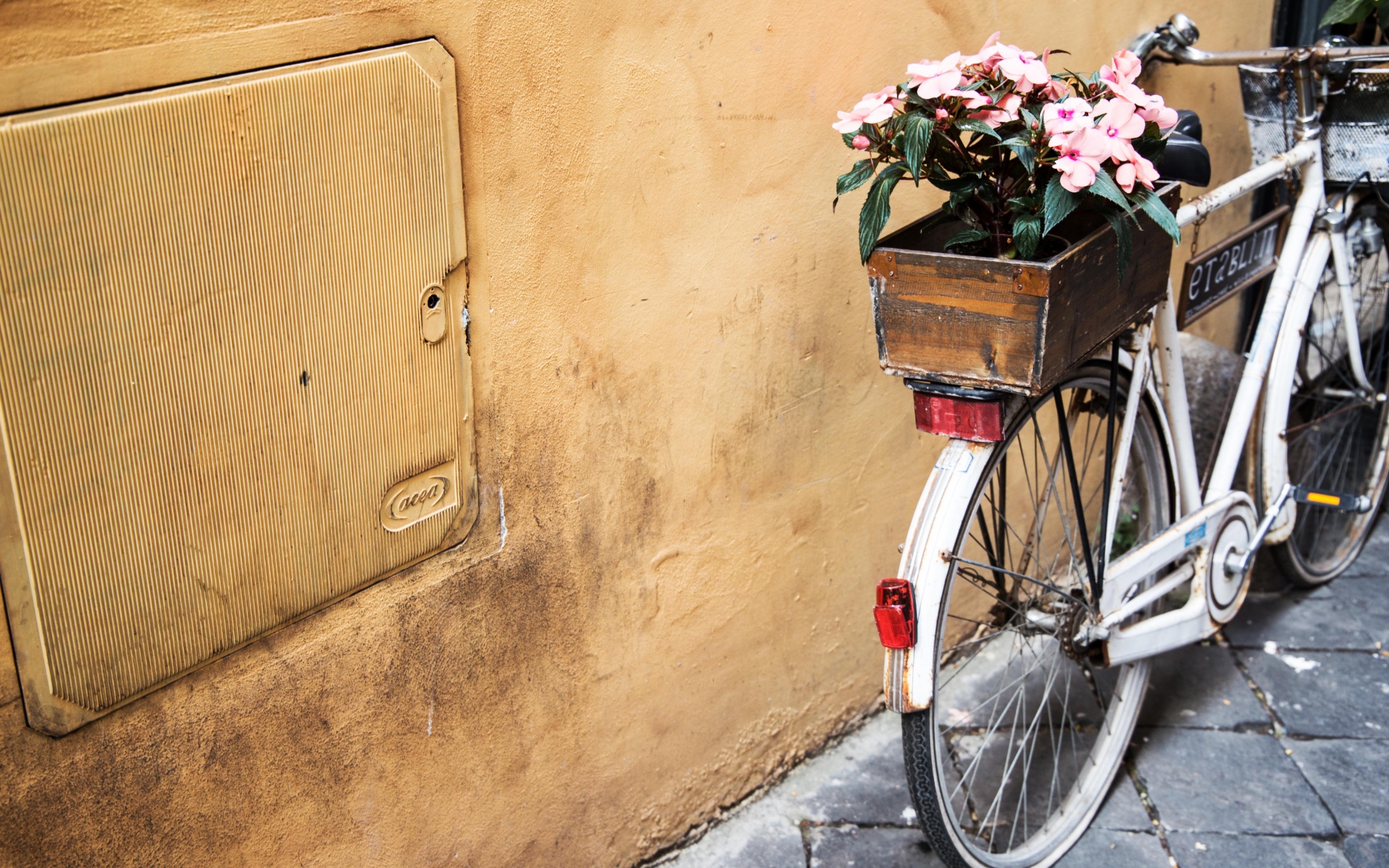 Картинки Велосипед, цветы, корзина фото и обои на рабочий стол