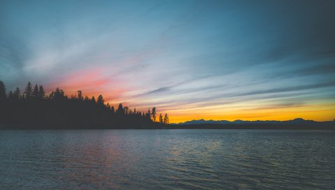 Море, закат, деревья, берег