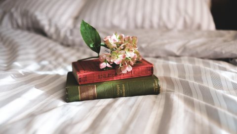 Книги, цветы, постель, вдохновение