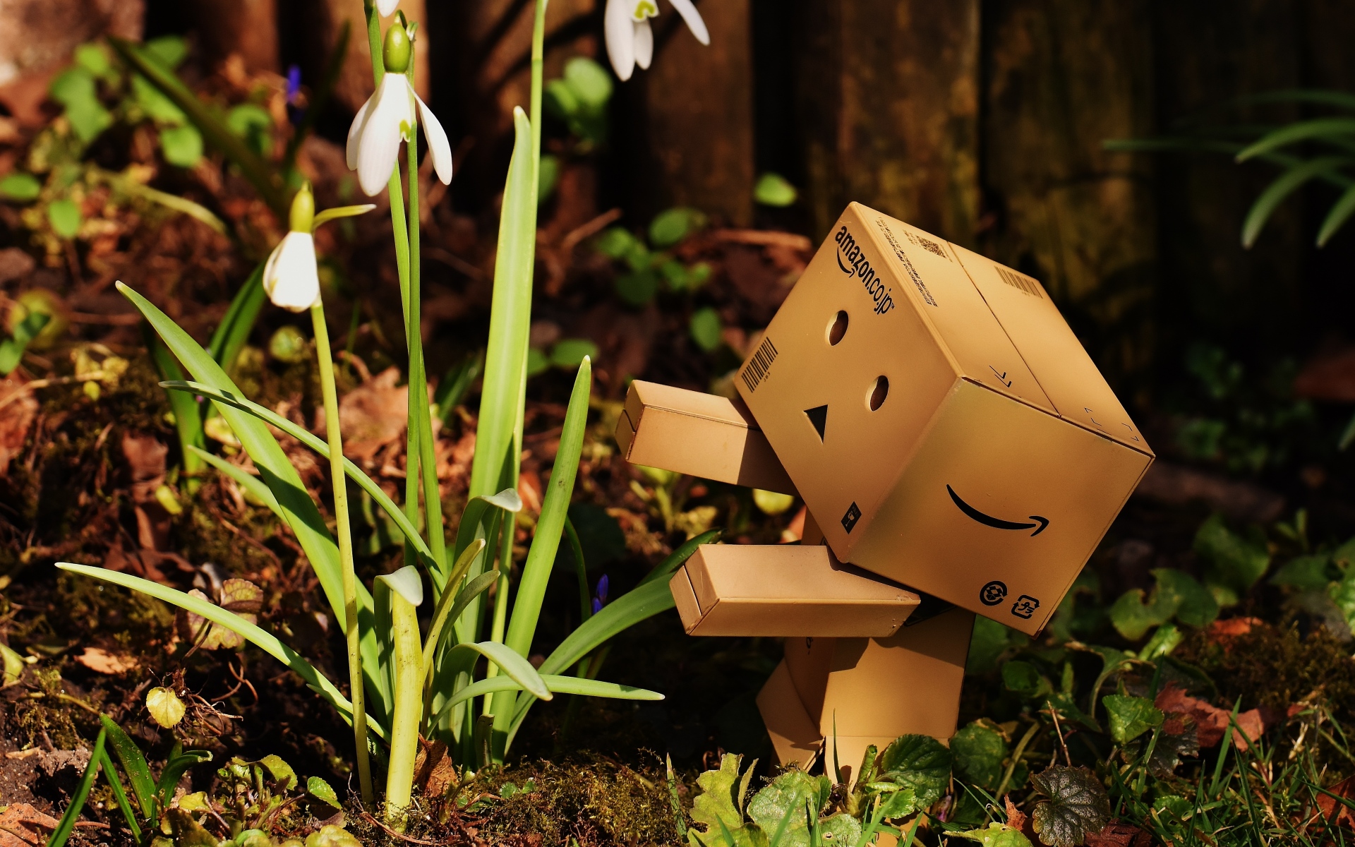 Картинки Danboard, картонный робот, тень фото и обои на рабочий стол