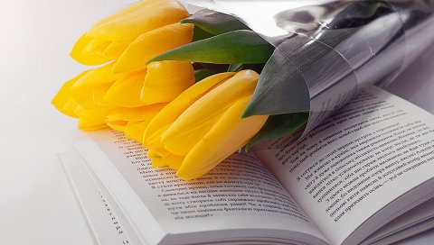 Тюльпаны, книги, цветы, букет