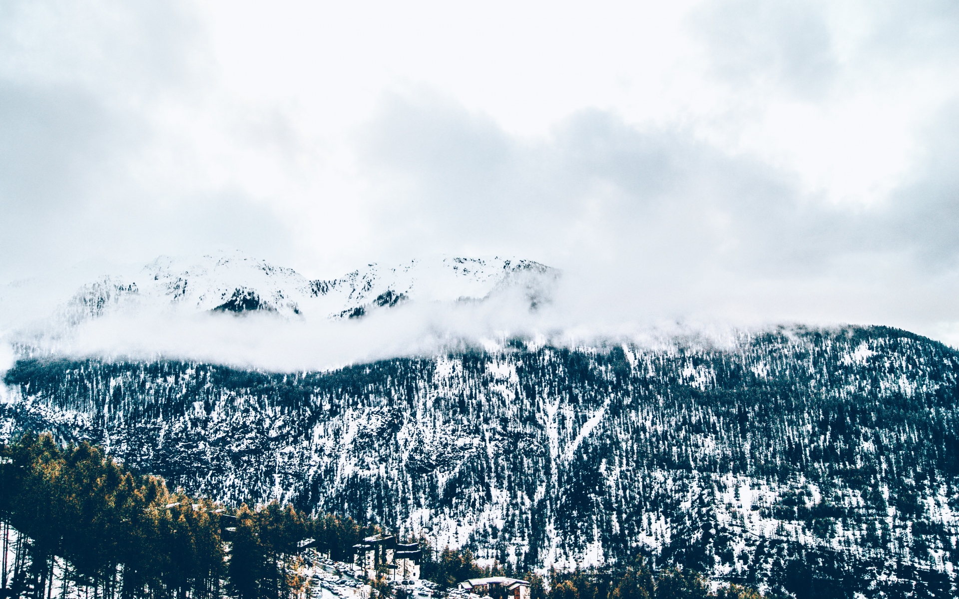 Картинки Горы, деревья, туман, снег фото и обои на рабочий стол