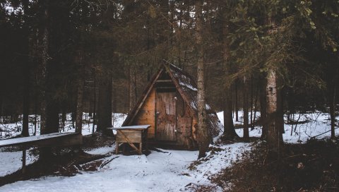 Строительство, лес, деревья, снег