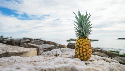 Ананас, пляж, камни