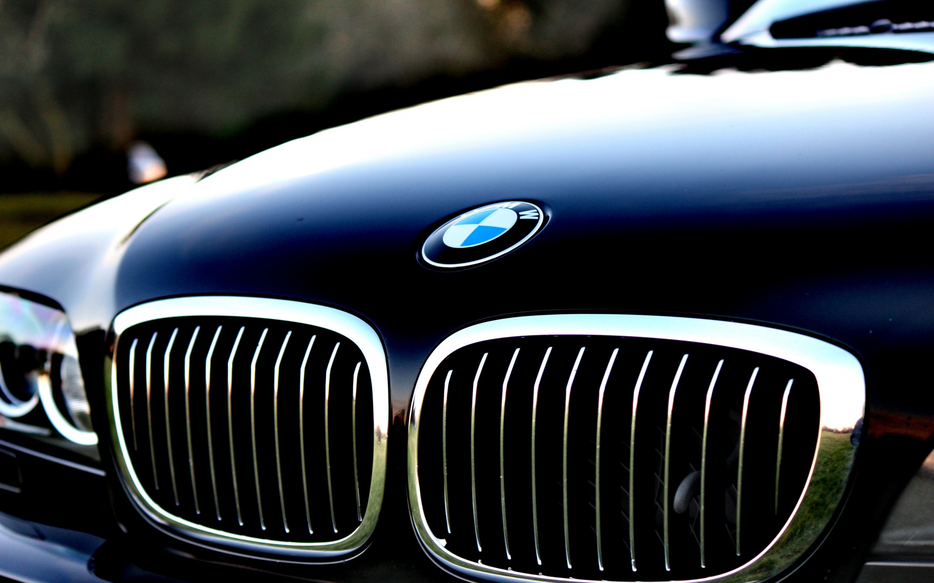 Картинки Bmw, hood, логотип фото и обои на рабочий стол