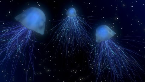 Медуза, аннотация, пространство, подводный мир