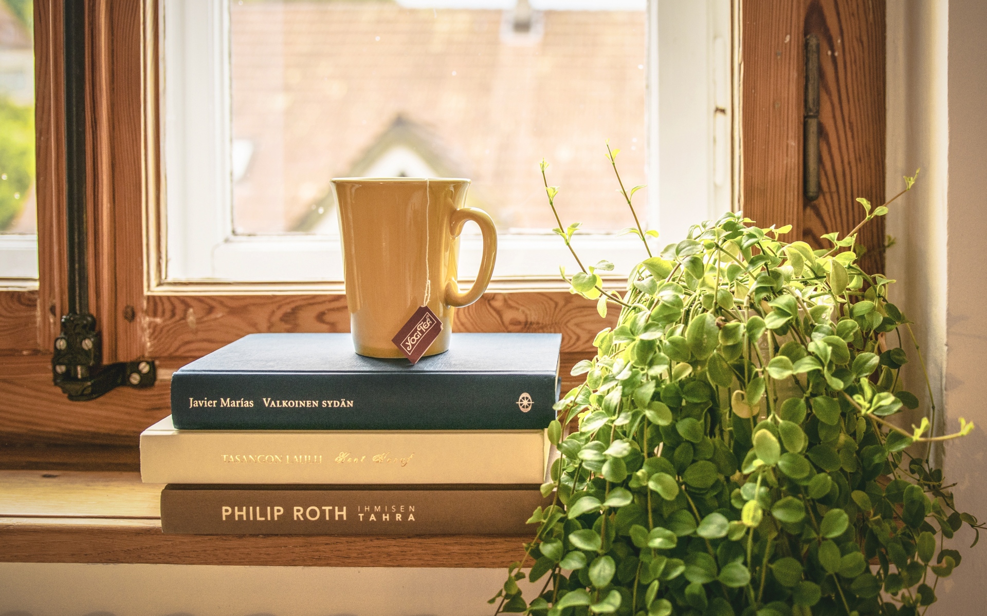 Картинки Книга, чашка, чай, подоконник, окно, комнатное растение фото и обои на рабочий стол