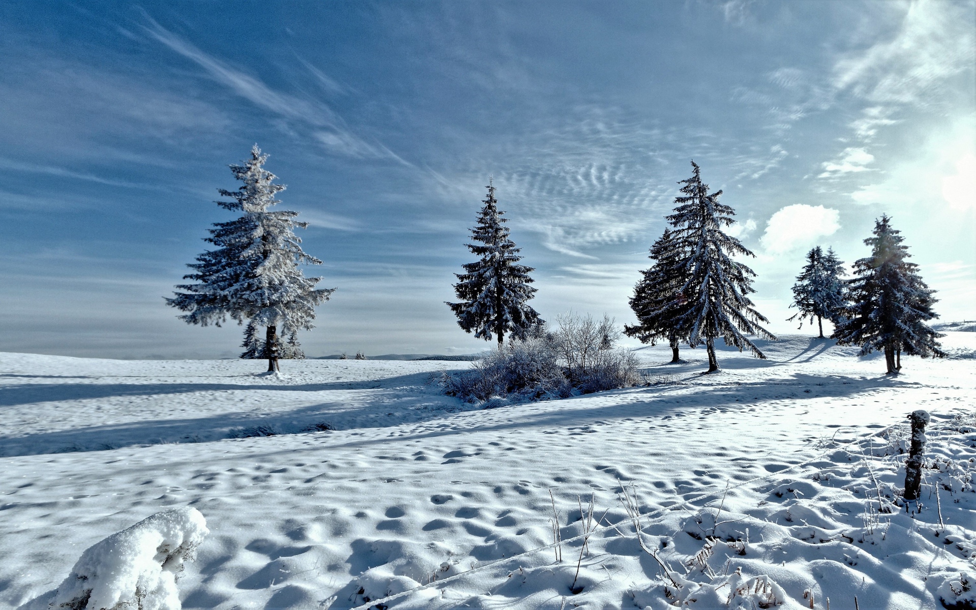 Картинки Деревья, зима, снег фото и обои на рабочий стол