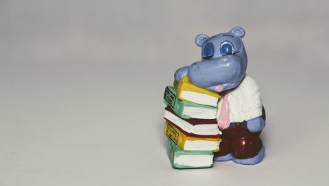 Бегемот, игрушка, книга