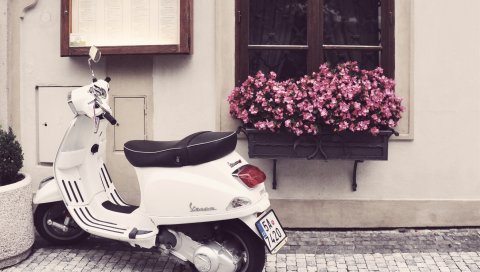 Vespa, скутер, мопед, цветы