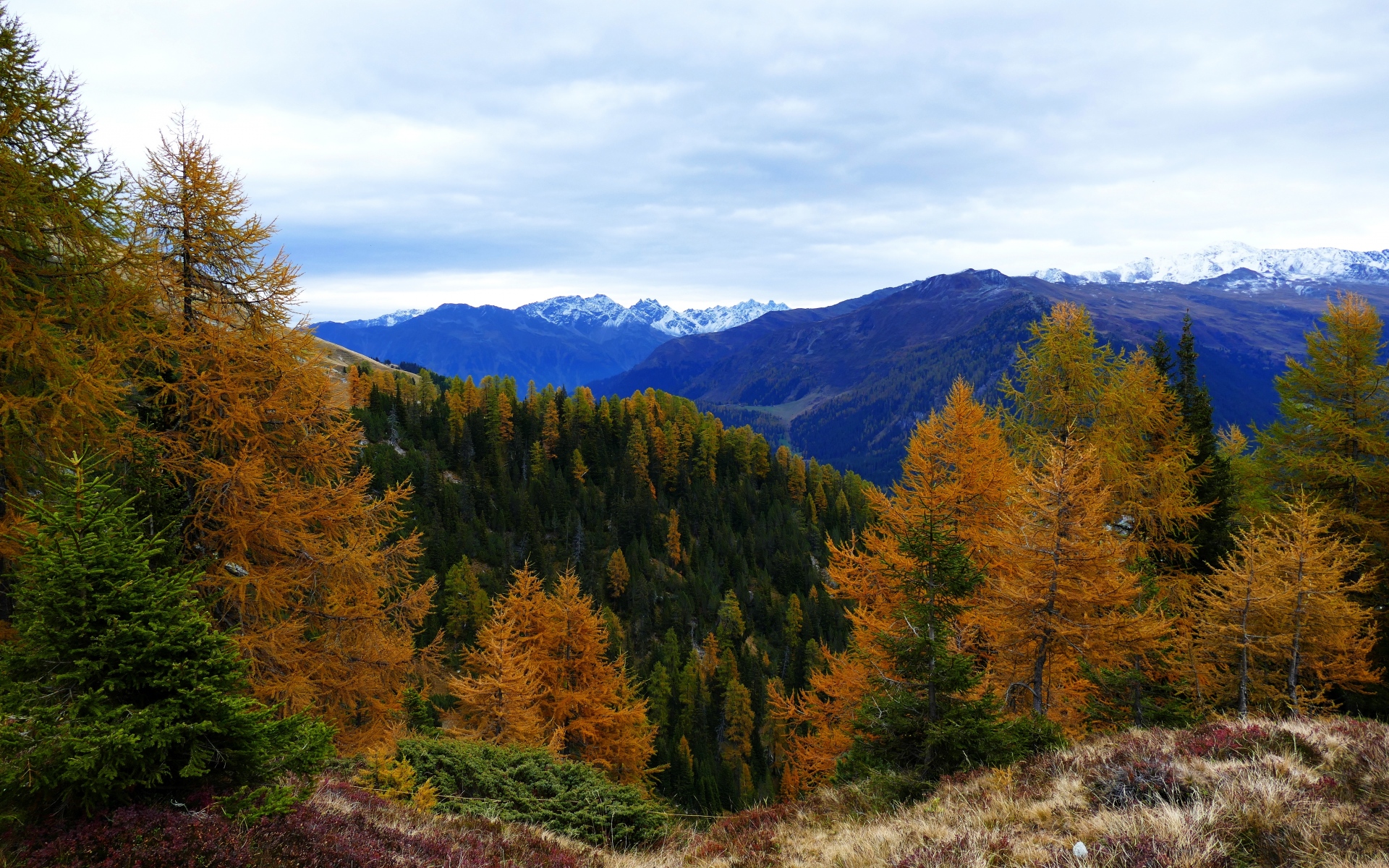 Картинки Лес, горы, деревья, осень фото и обои на рабочий стол
