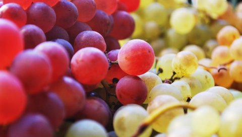 Виноград, ягоды, фрукты