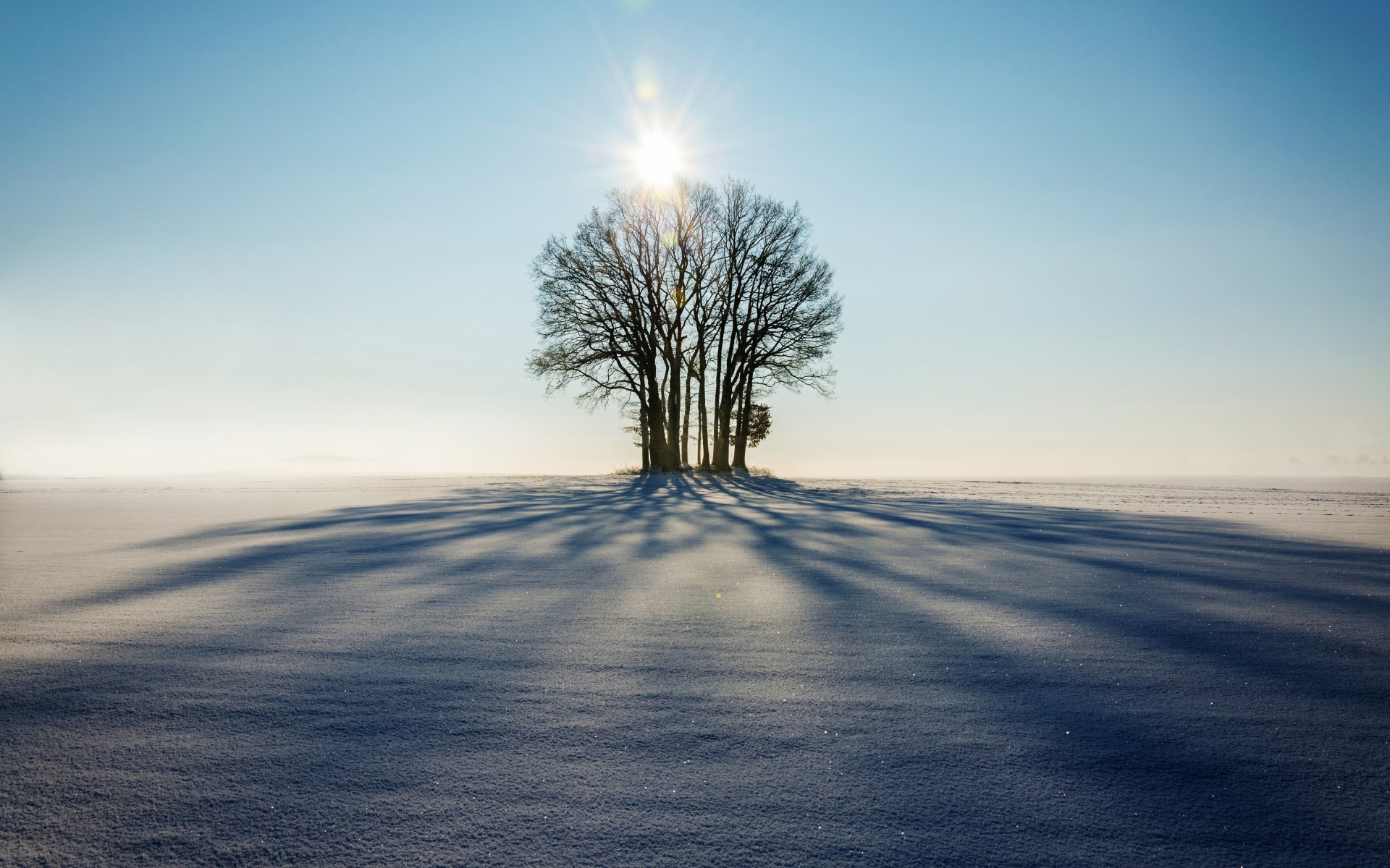 Картинки Зима, горизонт, дерево, снег, солнечный свет фото и обои на рабочий стол