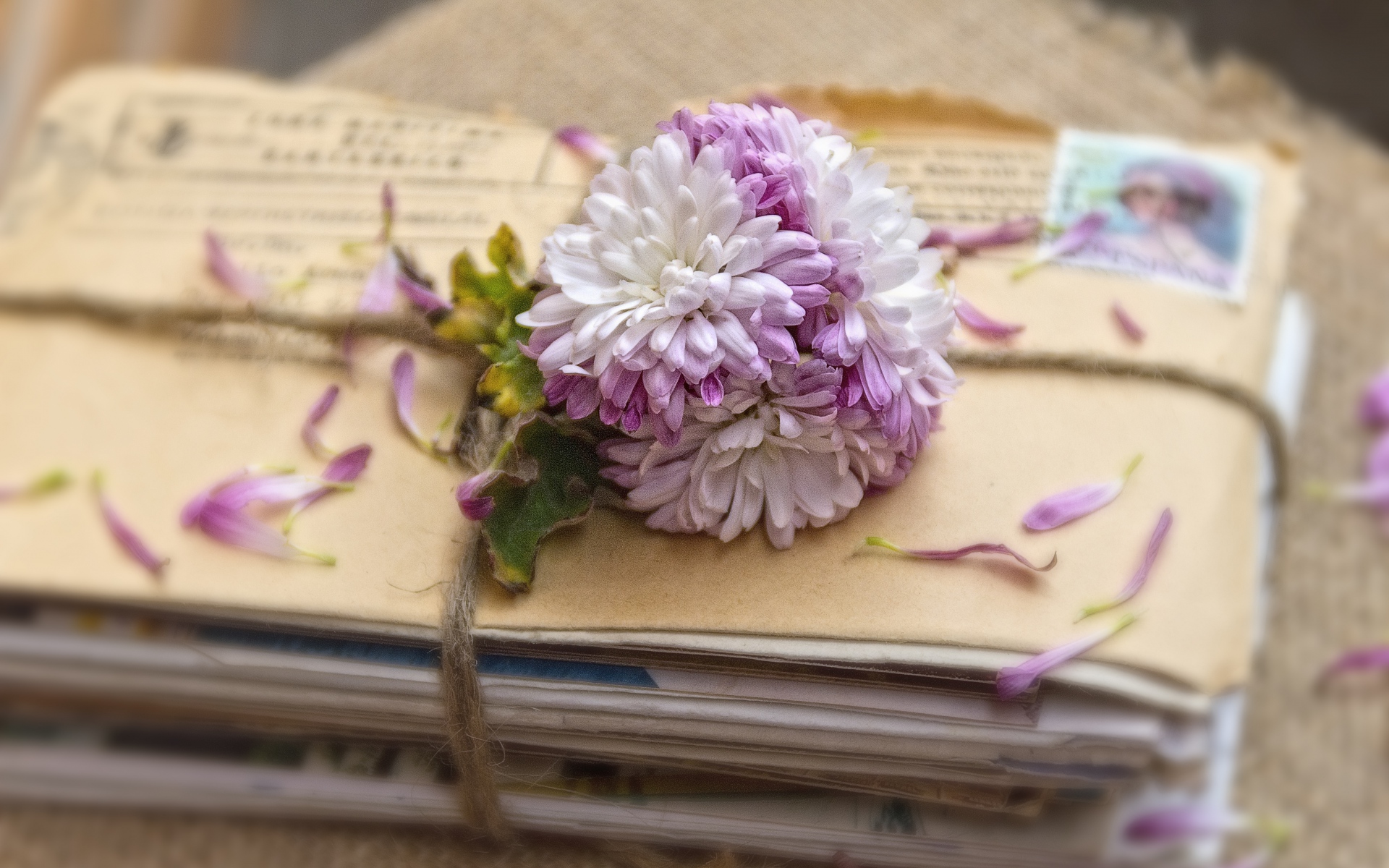 Картинки Письма, цветы, подвязки фото и обои на рабочий стол