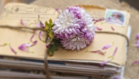 Письма, цветы, подвязки