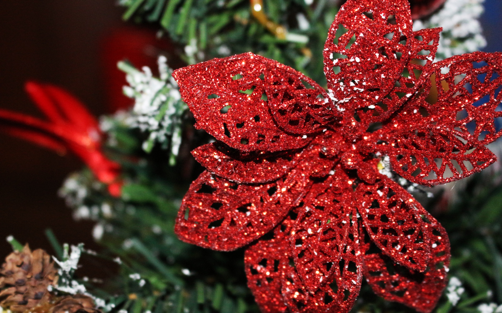 Картинки Орнамент, рождественские украшения, poinsettia, украшение фото и обои на рабочий стол