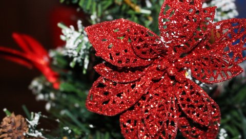 Орнамент, рождественские украшения, poinsettia, украшение