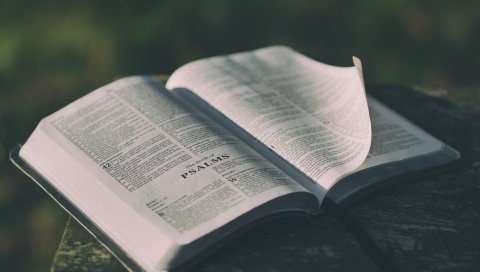 Книга, чтение, вдохновение