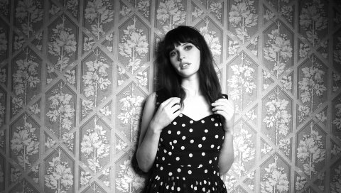 Фелисити Джонс, актриса, платье, фотосессия, bw