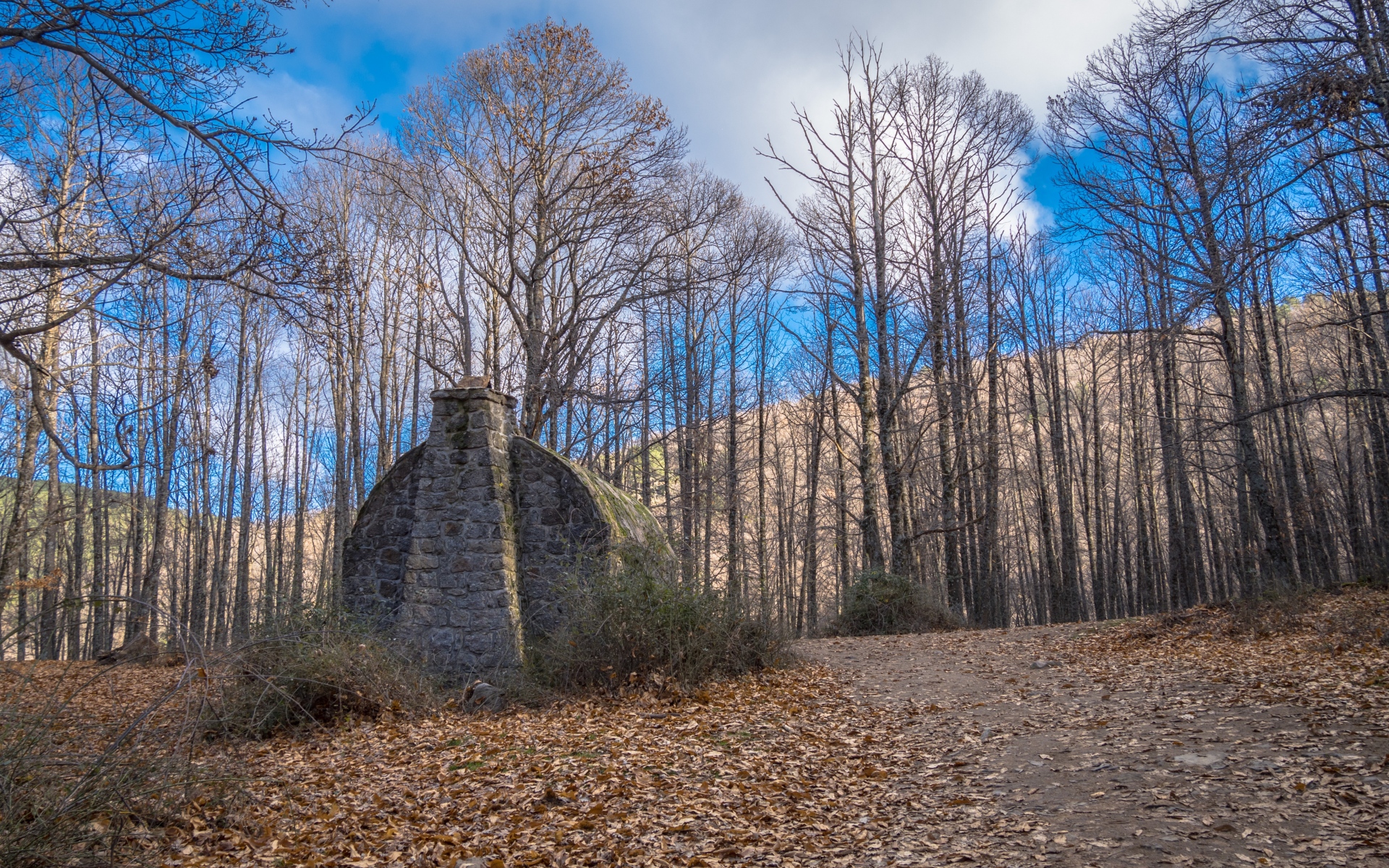 Картинки Убежище, камни, лес, деревья фото и обои на рабочий стол