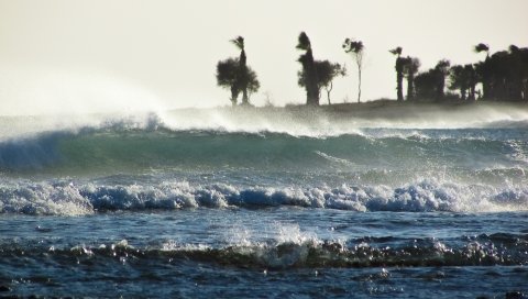 Буря, море, волны, пальмы