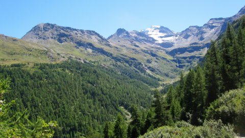 Швейцария, Альпы, горы, деревья