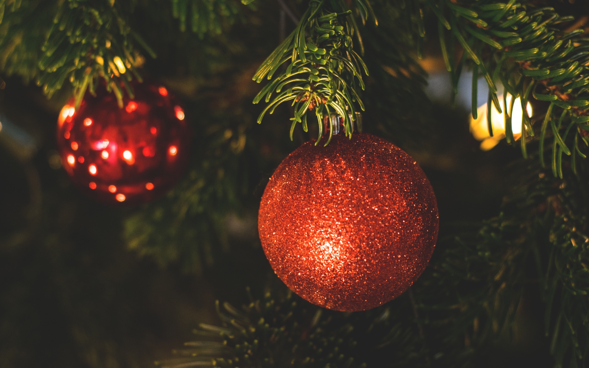 Картинки Дерево игрушка, ветка, ель, рождество, новый год фото и обои на рабочий стол