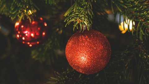 Дерево игрушка, ветка, ель, рождество, новый год