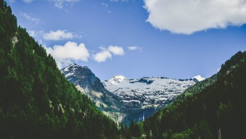 Альпы, горы, горы, деревья