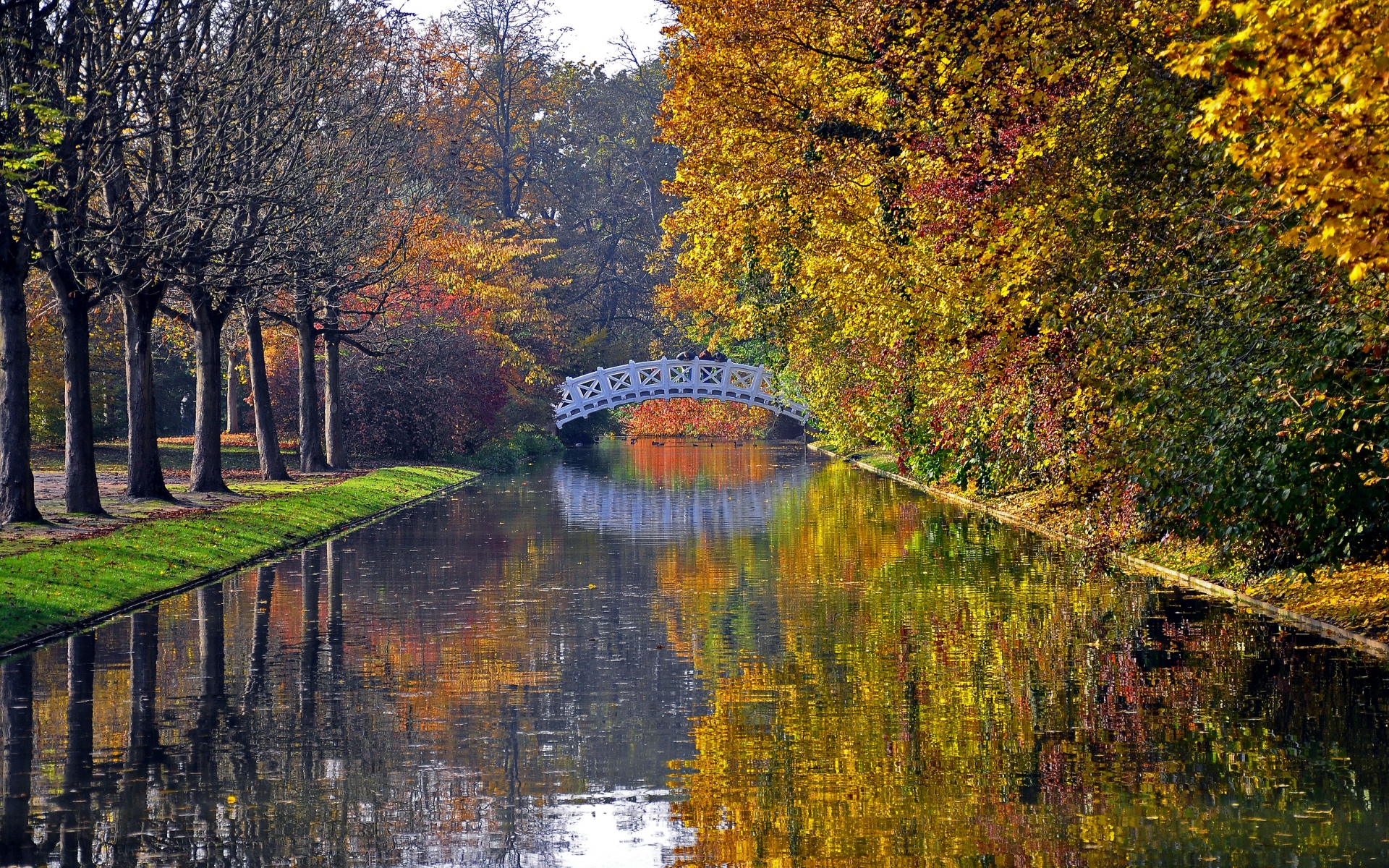 Картинки Осень, мост, река, парк, деревья, отражение фото и обои на рабочий стол
