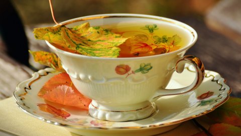 Чашка, чай, напитки, осень, листья