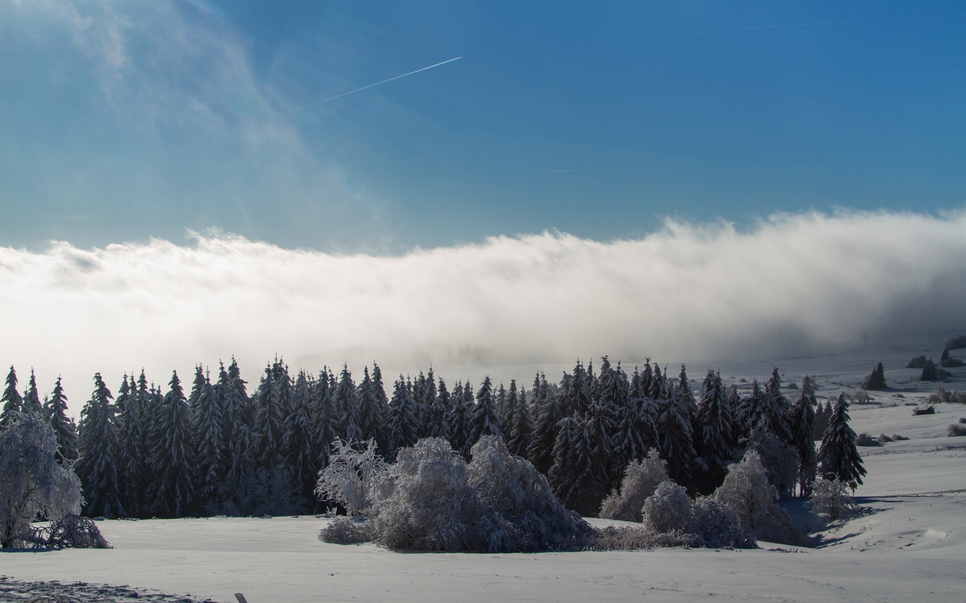 Картинки Wasserkuppe, горы, лес, зима, снег, шторм фото и обои на рабочий стол