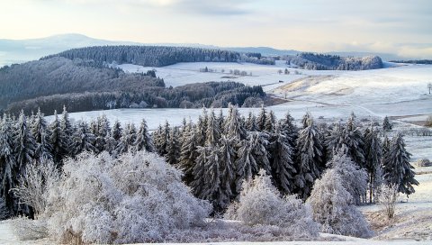Poppenhausen, германия, снег, лес