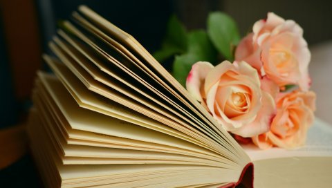 Книги, розы, букет, чтение