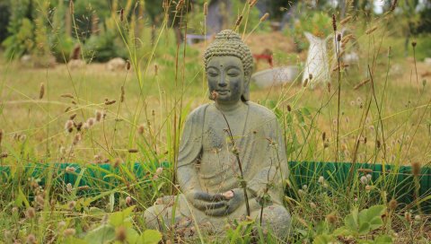 Будда, буддизм, медитация, трава
