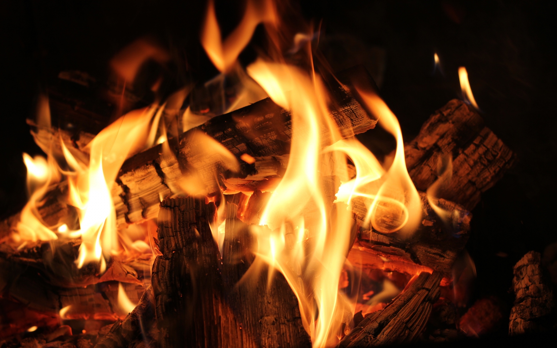 Картинки Костер, огонь, дрова, угли, пламя фото и обои на рабочий стол