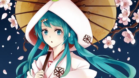 Hatsune miku, yuki miku, вокалоид