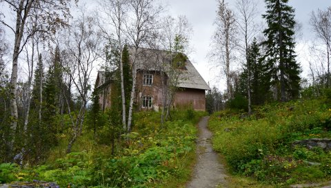 Ботанический сад, лес, деревья, дом