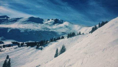 Горы, снег, зима, вершина, хвойная
