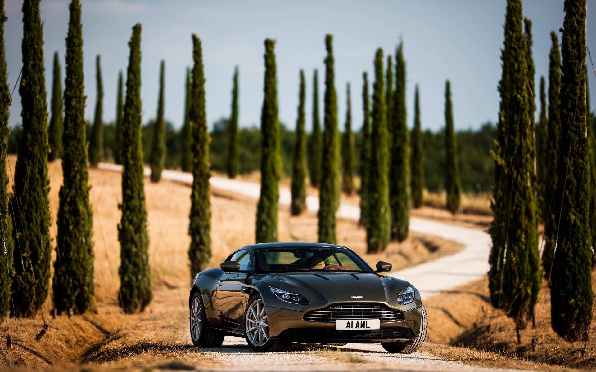 Картинки Aston martin, db1, вид спереди фото и обои на рабочий стол