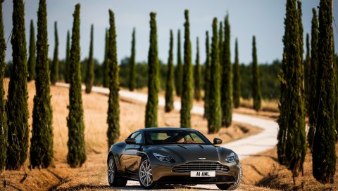Aston martin, db1, вид спереди