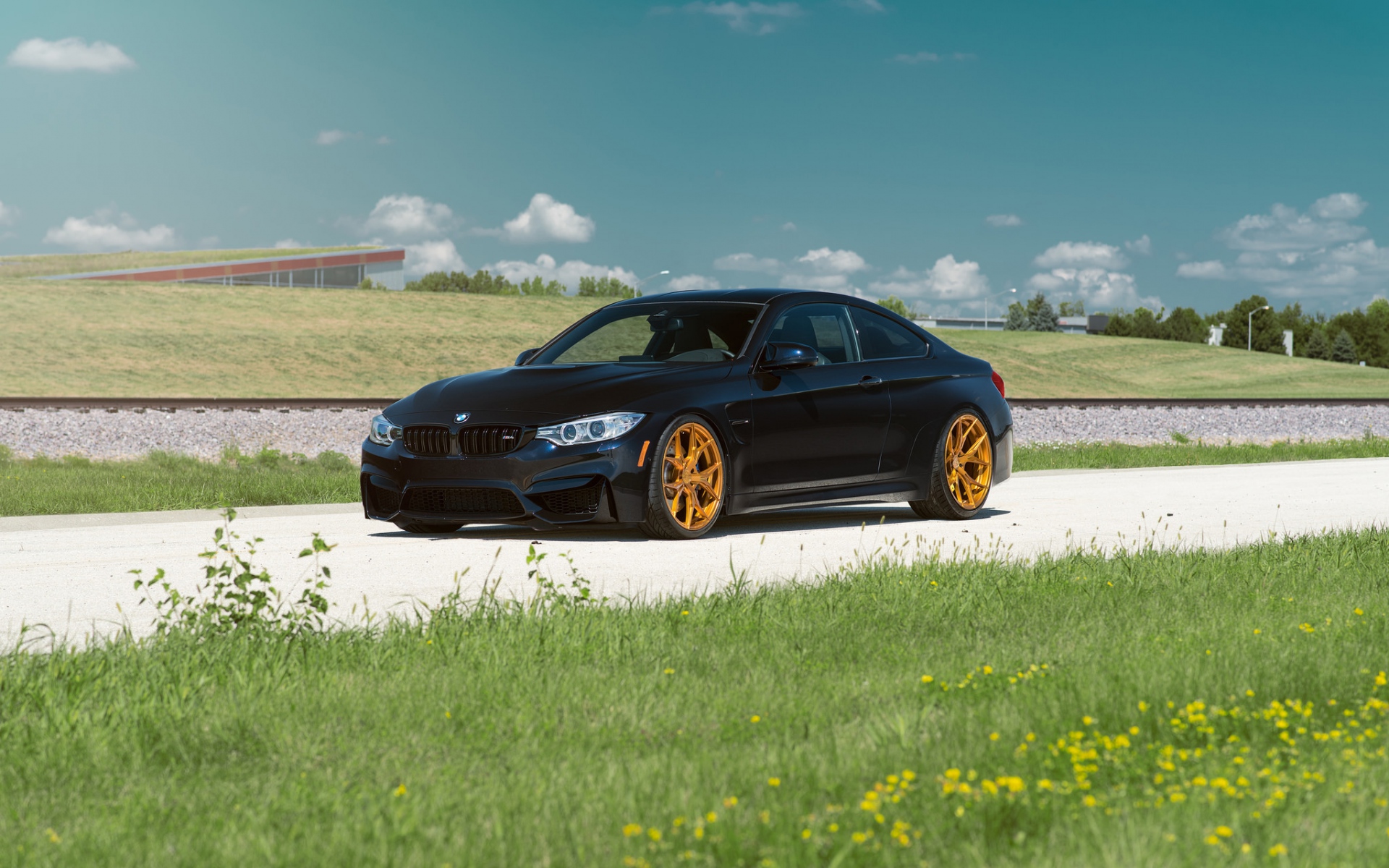 Картинки Bmw, вид сбоку, трава фото и обои на рабочий стол